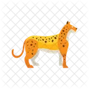 Leopard  Icon