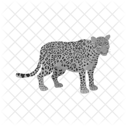 Leopardo  Ícone