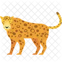 Leopardo Animal Fauna Icono