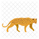 Leopardo  Ícone