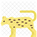 Leopardo  Ícone