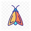 Lepidoptera  Icon