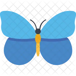 Lepidoptera Blue Butterfly  Icon