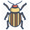 Leptinotarsa Decemlineata  Icon
