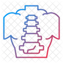 Lesion Columna Vertebral Rayos X Icono