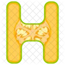 Letter H Icon
