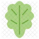 Lettuce Grocery Ingredient Icon