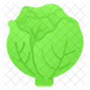 Lettuce Cabbage Vegetable Icon