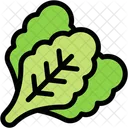 Lettuce Vegetable Food And Restaurant Icon