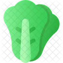 Lettuce Vegetable Veggie Icon