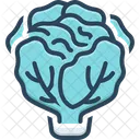 Lettuce Green Leaves Icon