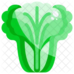 Lettuce  Icon