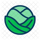 Cabbage Food Leaf Icon