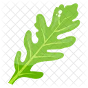 Lettuce Leaf Lettuce Vegetable Icon