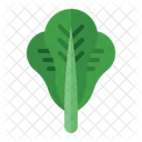 Lettuce Health Vegetarian Icon