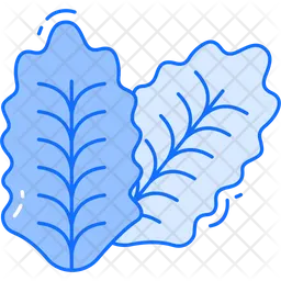 Lettuce  Icon