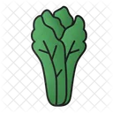 Lettuce Green Healthy Icon