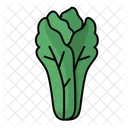 Lettuce  Icon