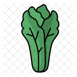 Lettuce  Icon