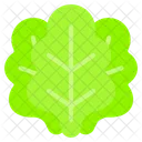 Lettuce  Icon