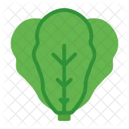 Lettuce  Icon