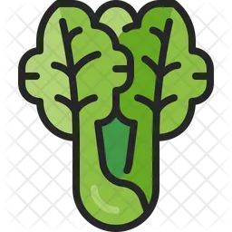 Lettuce  Icon