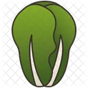 Lettuce Green Vegetable Icon