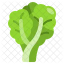 Lettuce  Icon