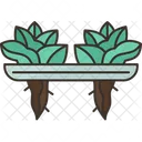 Lettuce Hydroponic Organic Icon