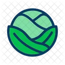 Cabbage Food Leaf Icon