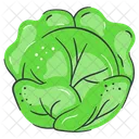 Lettuce Cabbage Vegetable Icon