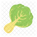 Food Lettuce Health Icon