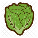Lettuce  Icon