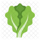 Lettuce  Icon