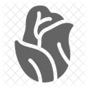 Lettuce  Icon