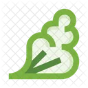 Lettuce Leaf  Icon