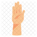 Levantar la mano  Icon