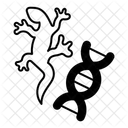  Icône