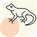 Lezard A Collerette Lezard A Collerette Reptile Icône