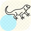 Lezard A Collier Lezard A Collier Reptile Icône