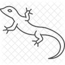 Lezard Des Clotures Occidentales Lezard Des Clotures Occidentales Reptile Icône