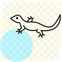 Lezard Epineux Lezard Epineux Reptile Icône