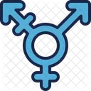 Lgbt Igualdade Transgenero Ícone