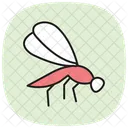 Libelinha Inseto Zigoptero Ícone
