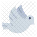 Libertad  Icono