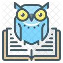 Owl Libro Sabiduria Icono