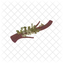 Lichen Symbiosis Organism Icon
