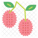 Lychee  Icono