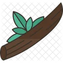 Licorice Wood Herbal Icon