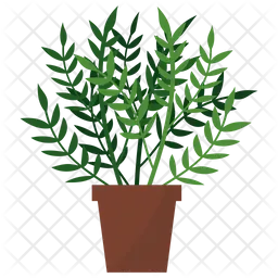 Licorice Potted Plant  Icon